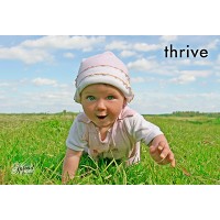 Thrive Postcards (12 per set) 
