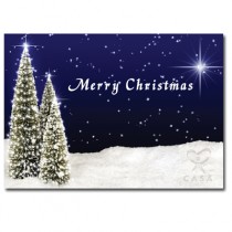 Christmas Card - Lighted Tree Landscape (25 per set) Spread the Word  TM